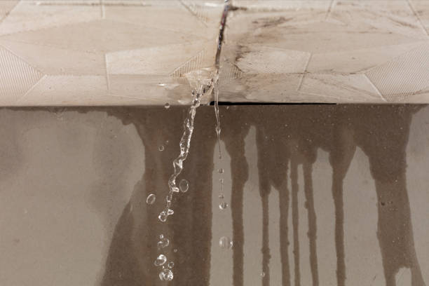 Professional Water Damage Inspection technician working in Bethany, MO